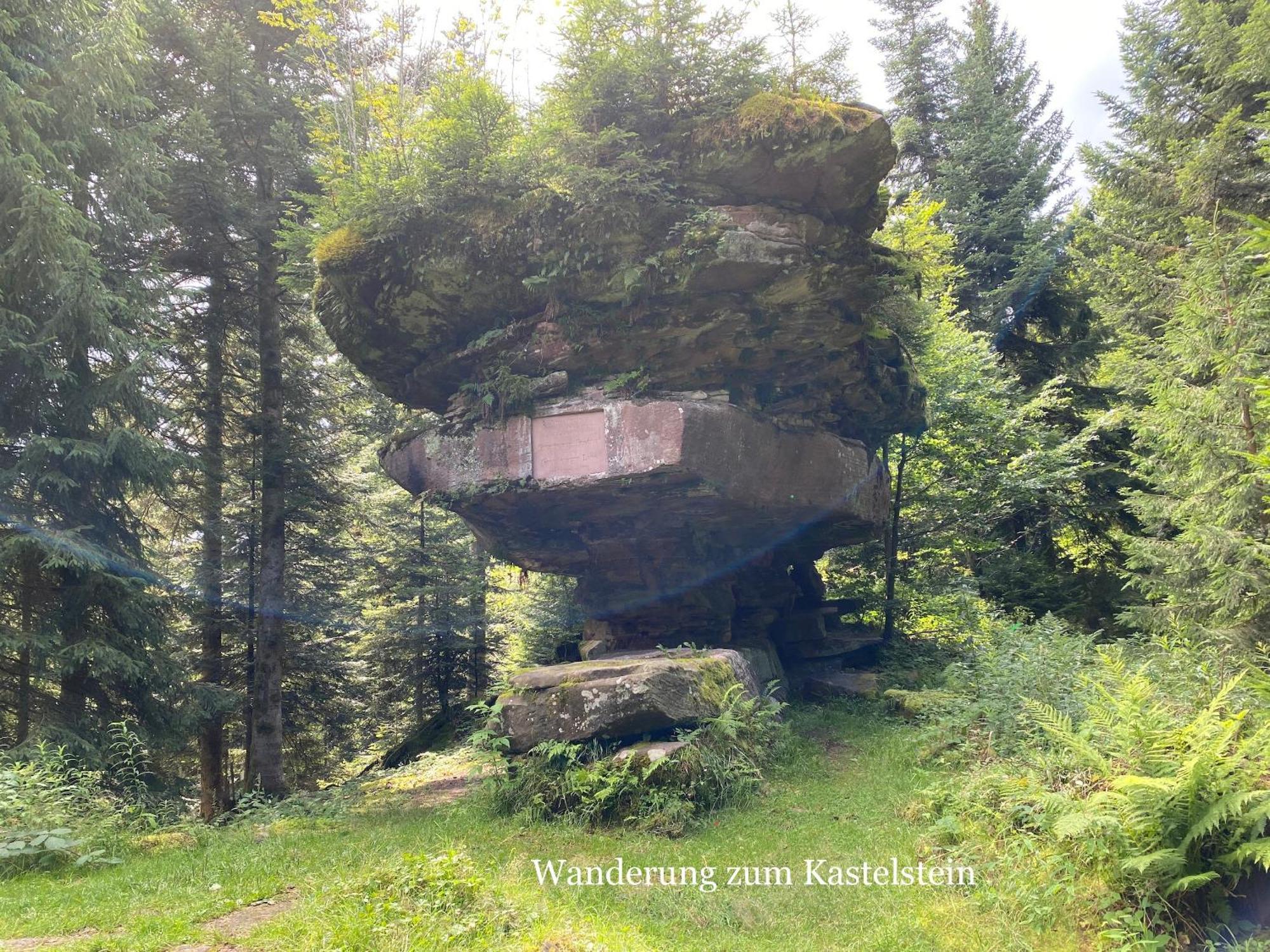 3- 2-1 - Raum - Ferienappartements Dieter Hoffmann Freudenstadt-Kniebis Beim Nationalpark Екстериор снимка