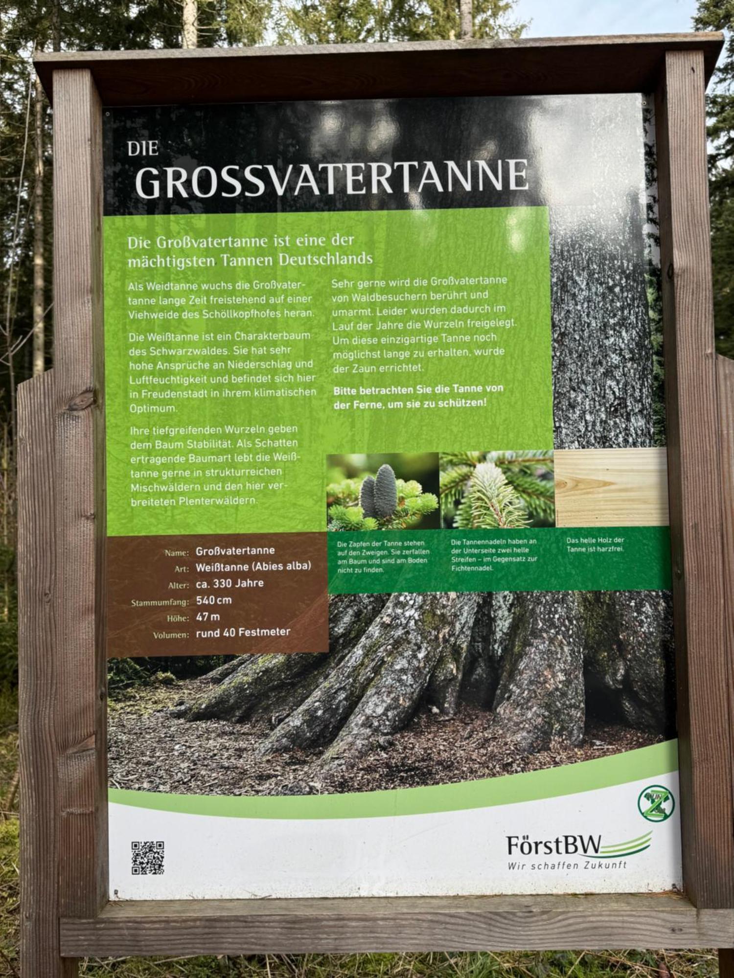 3- 2-1 - Raum - Ferienappartements Dieter Hoffmann Freudenstadt-Kniebis Beim Nationalpark Екстериор снимка